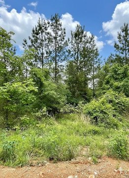 LAND - Broken Bow, OK