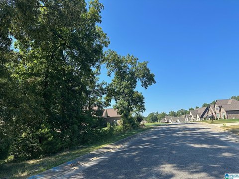 Wooded Residential Lot in Moody