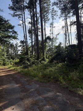 Wooded Residential Homesite Lot