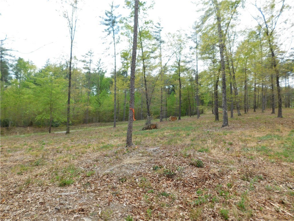 Land with Lake and Mountain Views