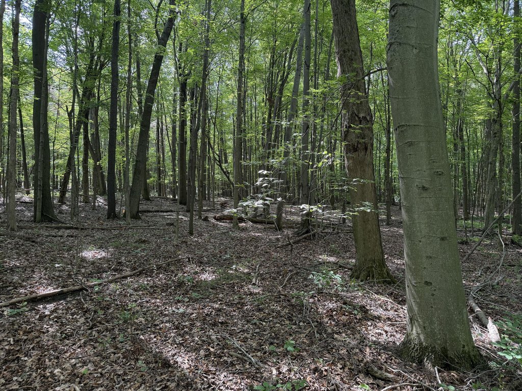 Picture 8