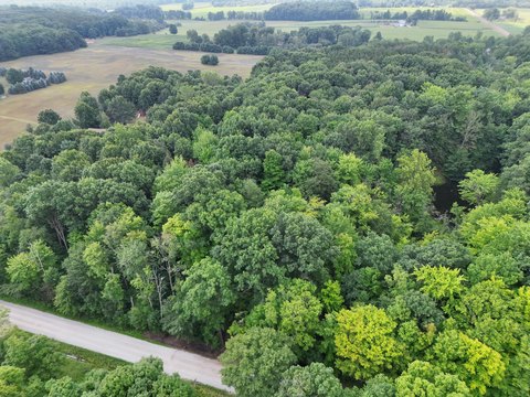 LAND - Cedar Springs, MI