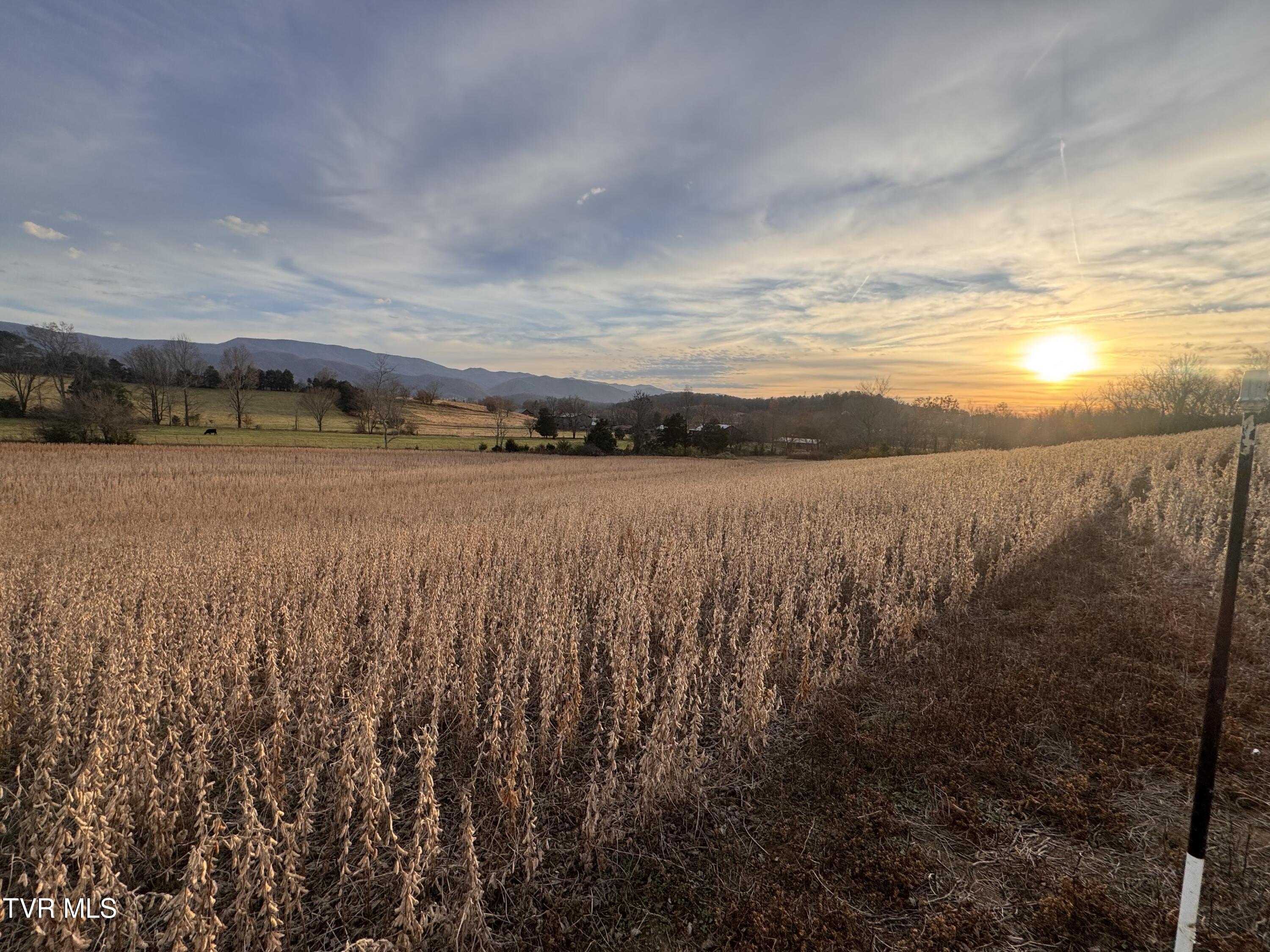 Scenic Land Parcel in Chuckey