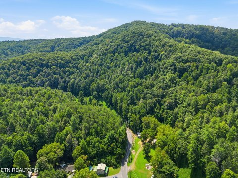 Lots & Acreage, Sevierville, TN