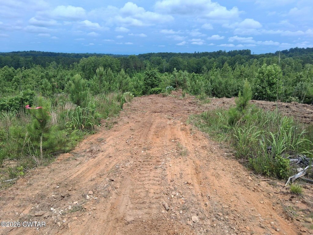 Picture 2