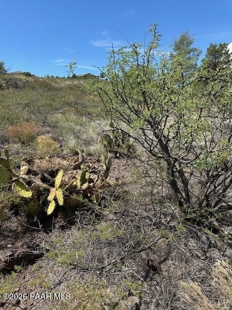 Picture 26