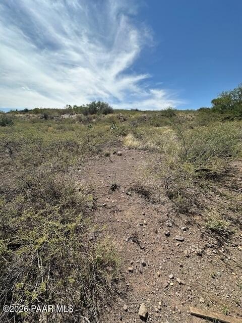 Picture 14