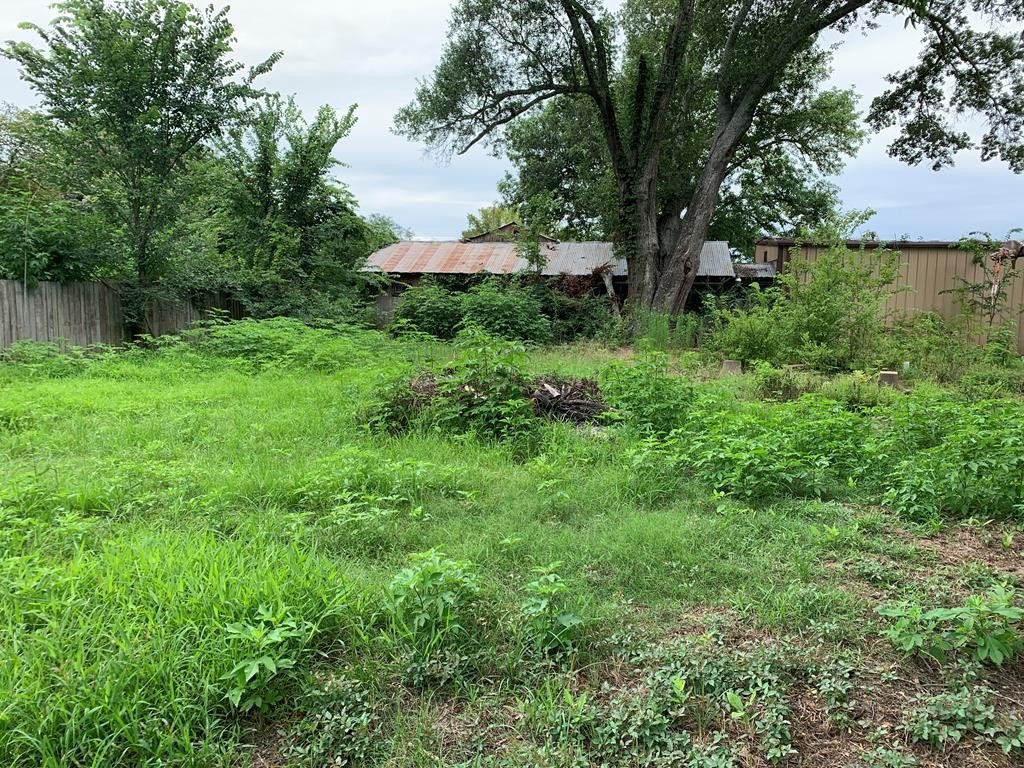 Picture 25