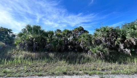 Residential Land in North Port