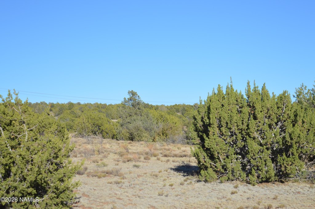 Picture 11