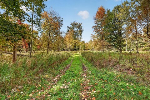 Hunting Land Along Penny Creek
