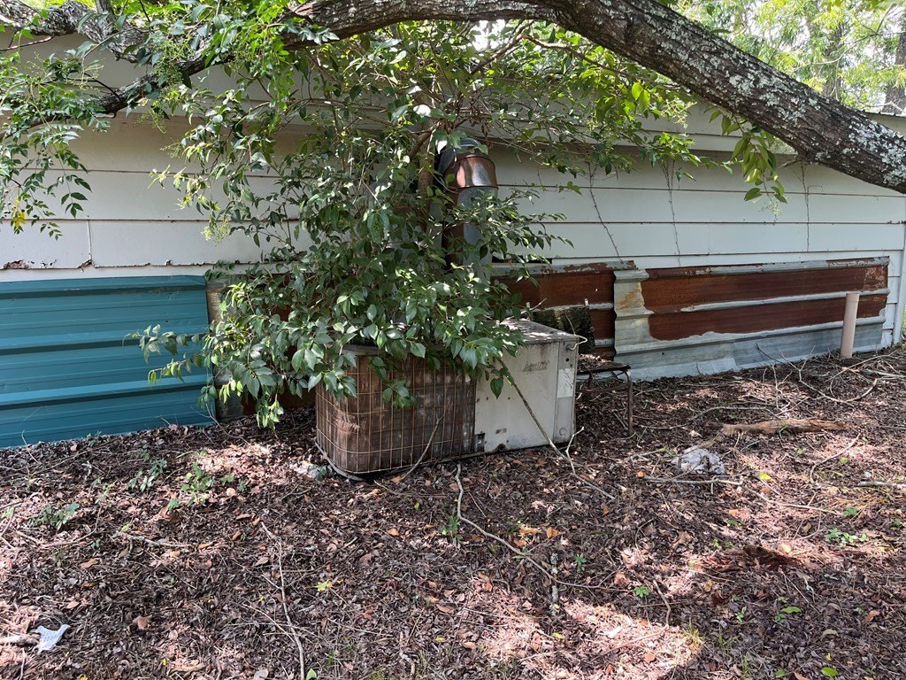 Picture 8