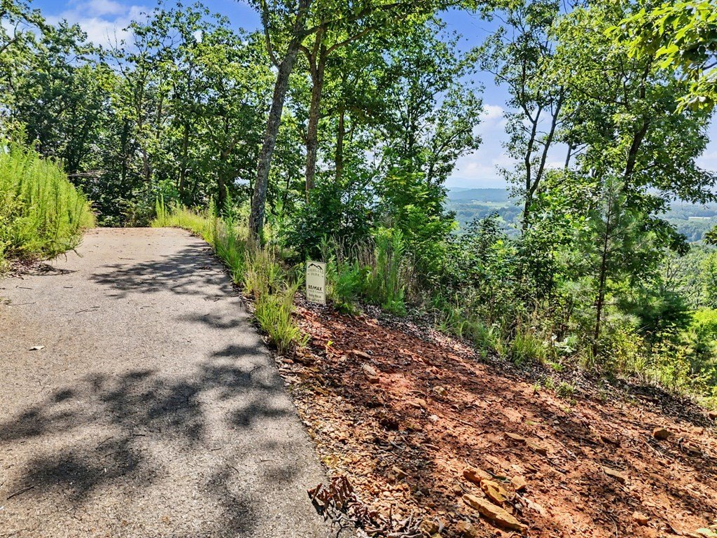 Picture 28
