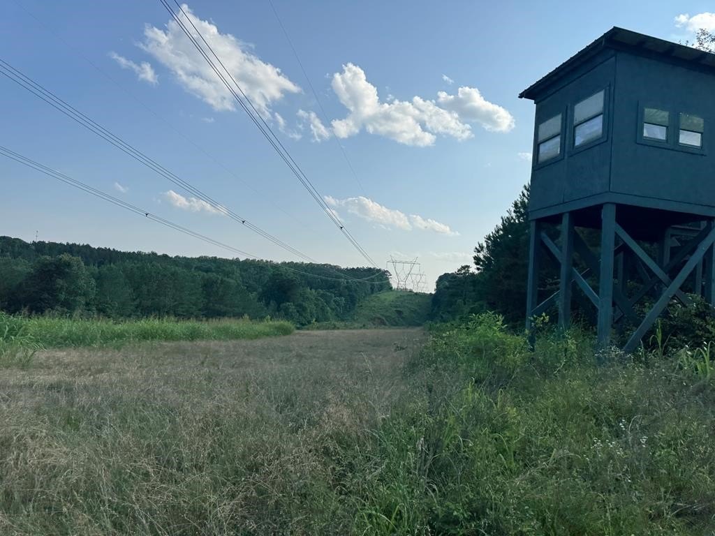 Picture 21