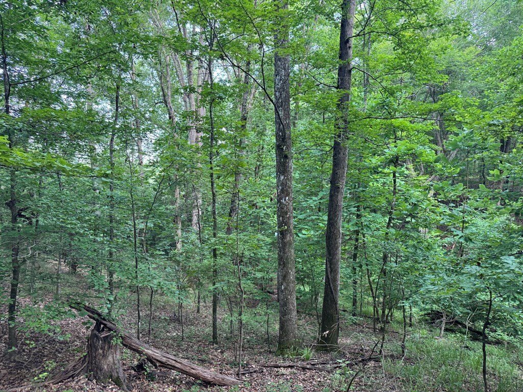 Picture 14