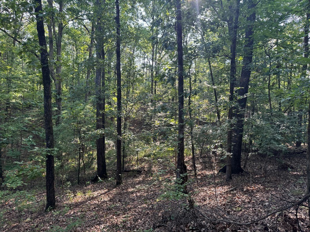 Picture 19