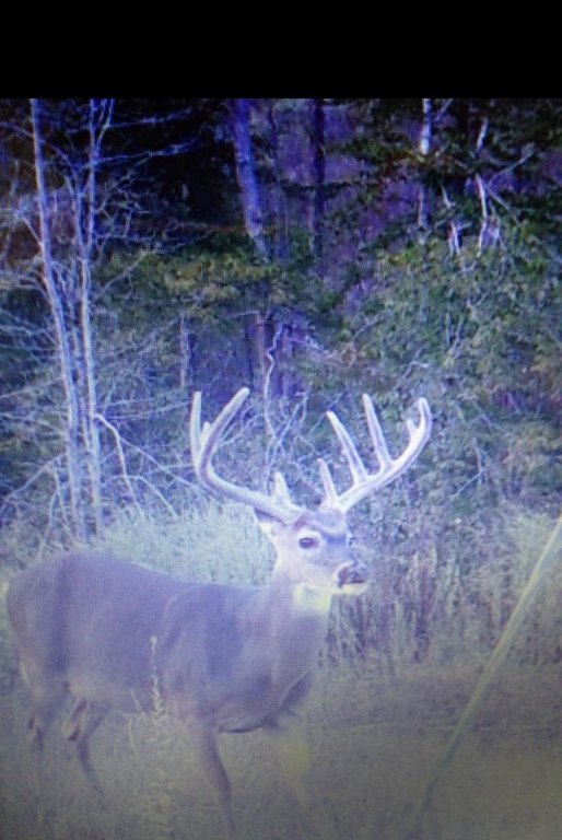 Picture 13