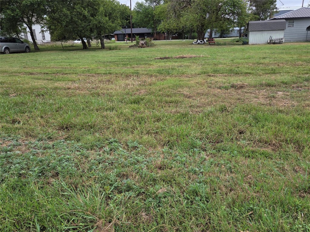 Picture 6