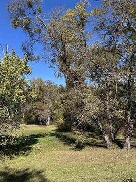LAND - Mt Vernon, TX