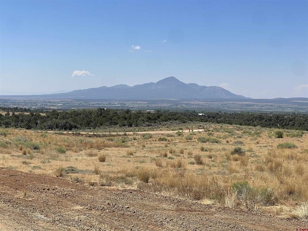 Land in Dolores, Colorado