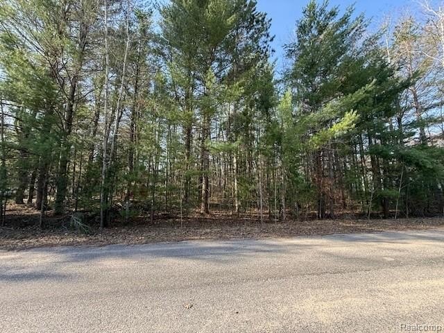 Residential Land in Established Neighborhood