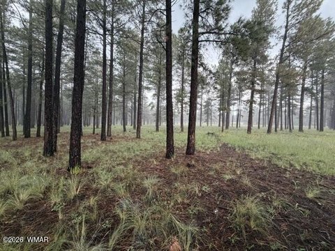 Land, Greer, AZ