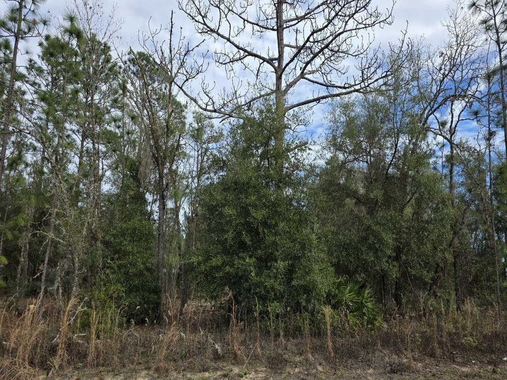 Picture 4