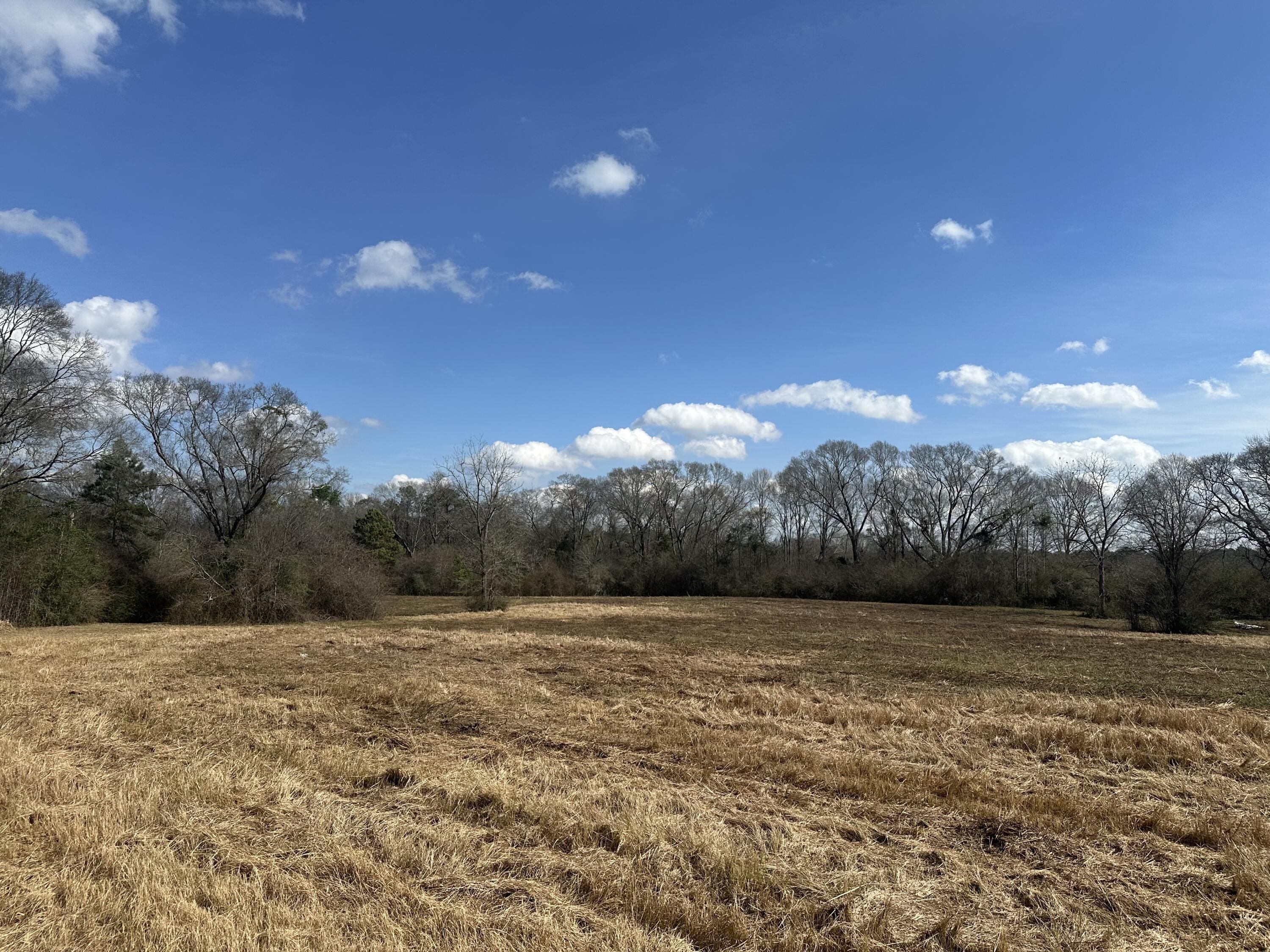 Pastureland with Hardwood Bottoms
