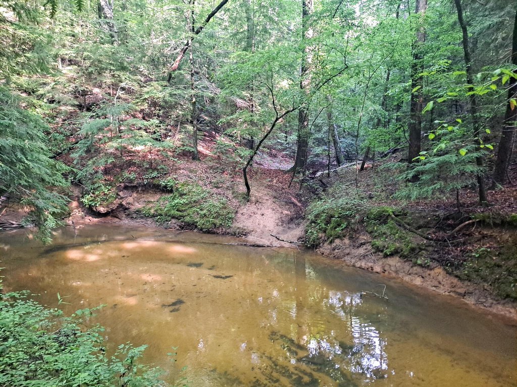 Picture 5