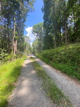 Vacant Lot, Blue Ridge, GA