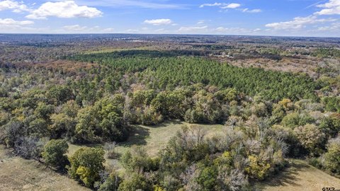 Winnsboro, TX Rural Acreage