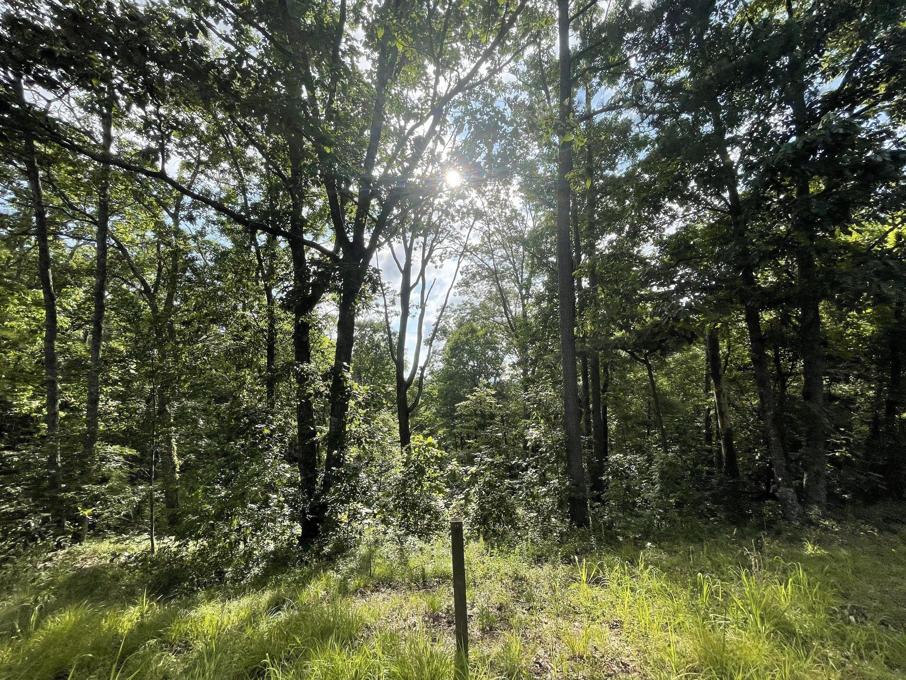 Ranger, GA Land with Views