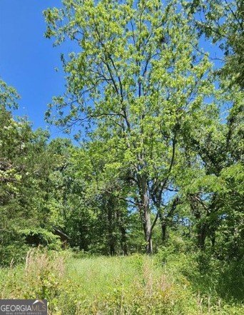 Residential Lot in Greensboro, GA