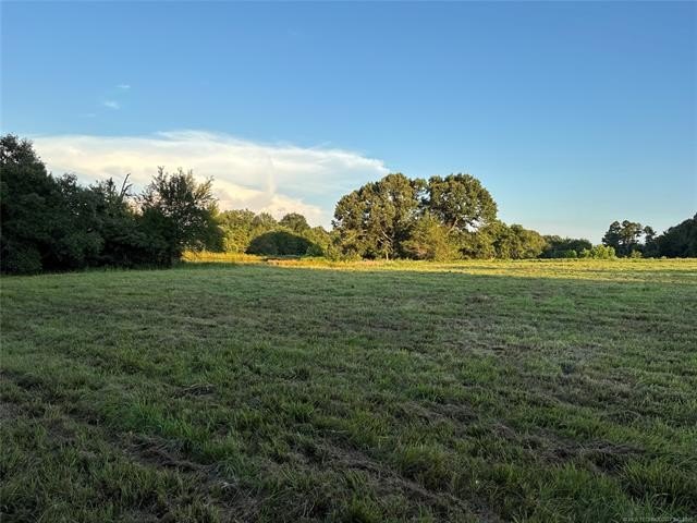 Picture 26