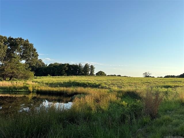 Picture 32