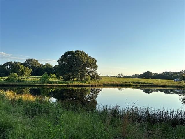 Picture 36
