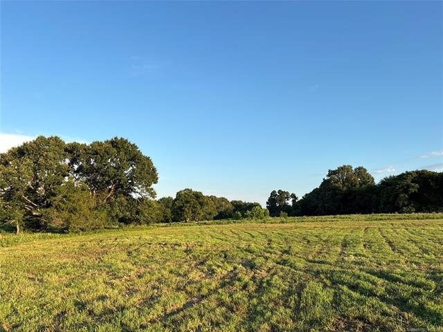 Picture 17