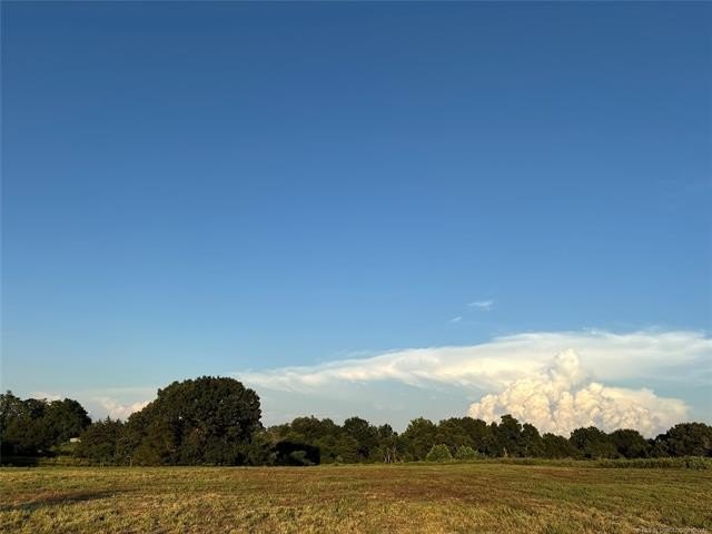 Picture 18