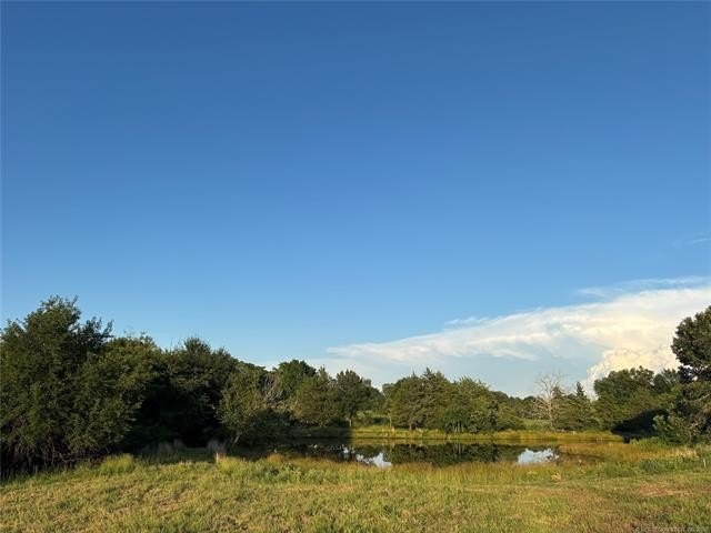 Picture 10