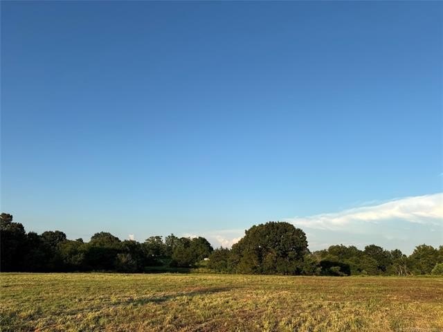 Picture 19