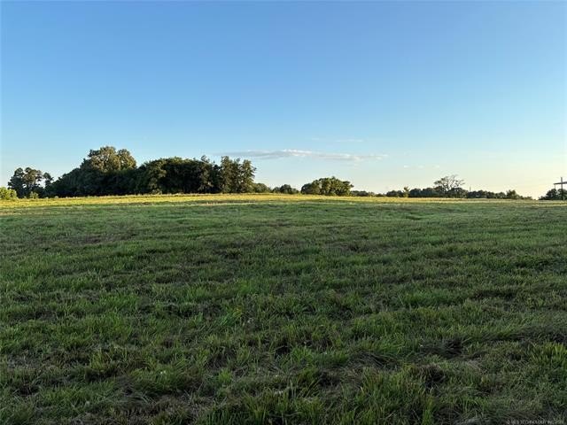 Picture 28