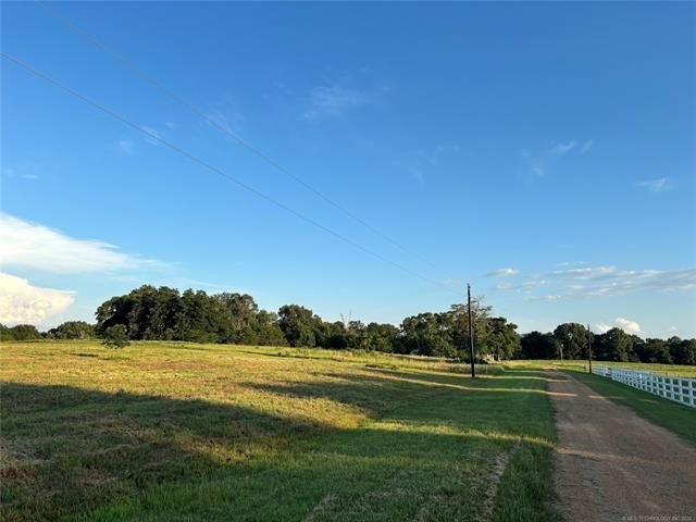Picture 3