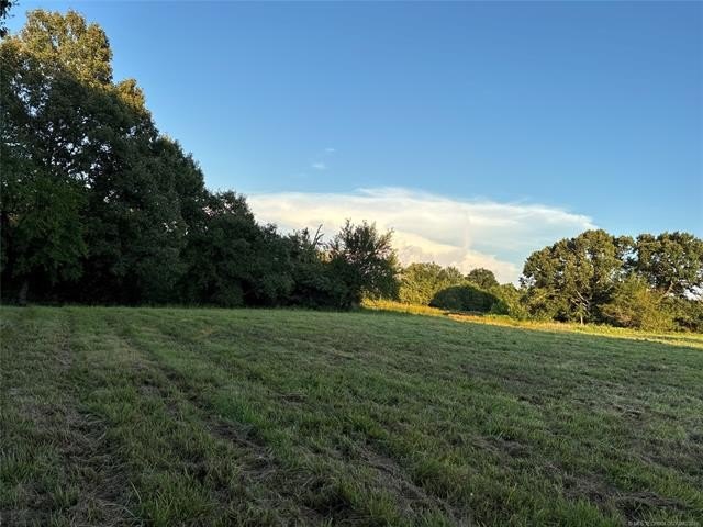 Picture 27