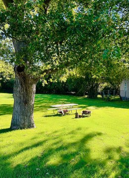 Land, Coloma, MI