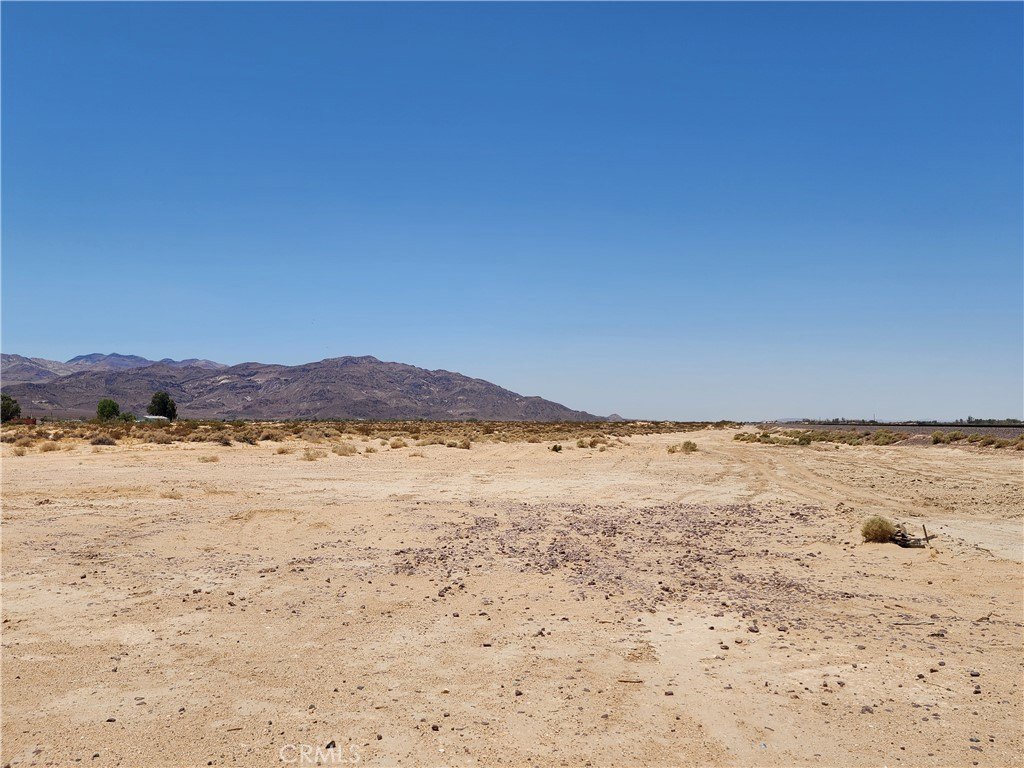 Picture 16