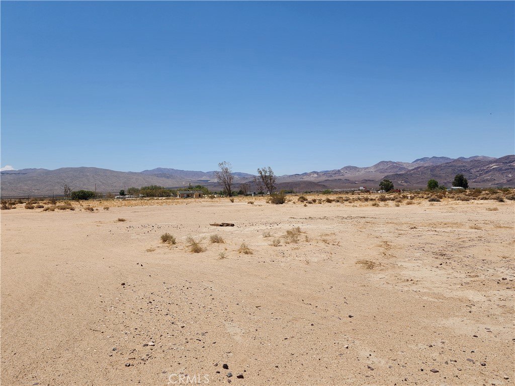 Picture 18