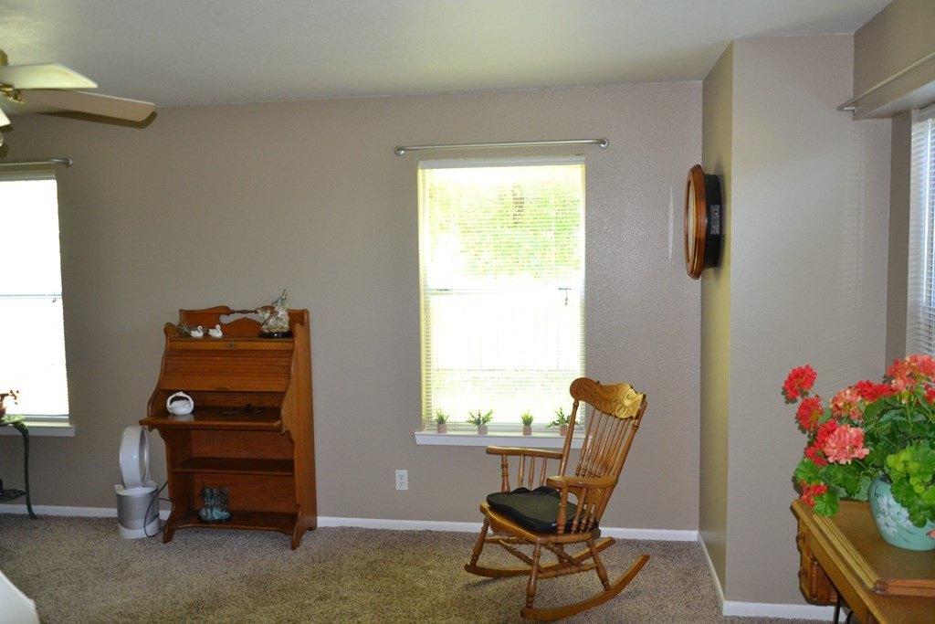 Picture 3