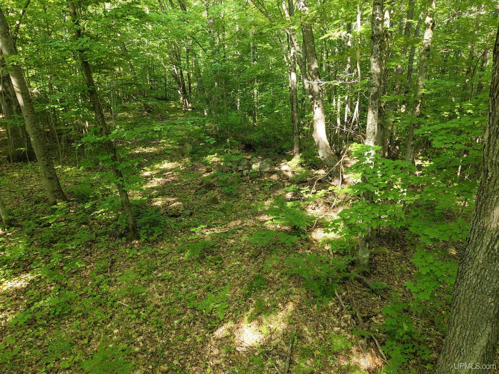 Picture 18