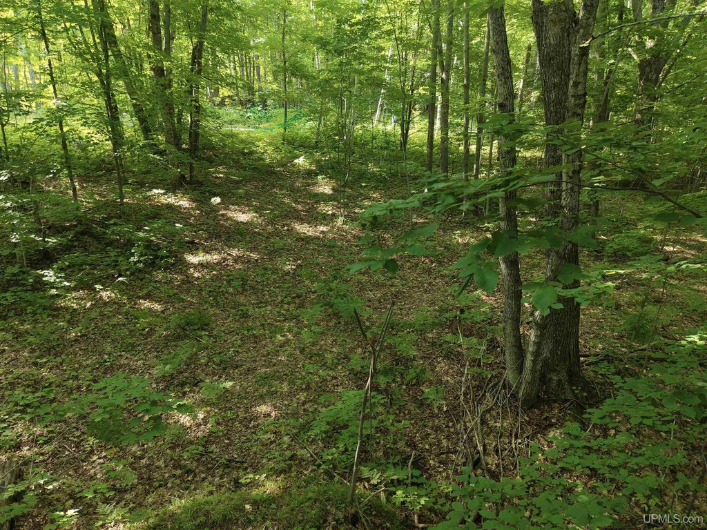 Picture 47