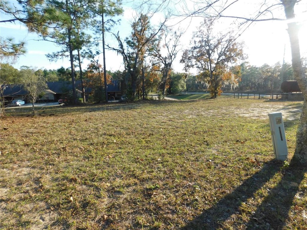 Picture 5